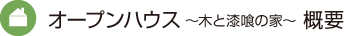 オープンハウス ～木と漆喰の家～ 概要